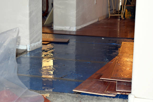 Professional Burst Pipe Cleanup technician working in Lyndhurst, NJ